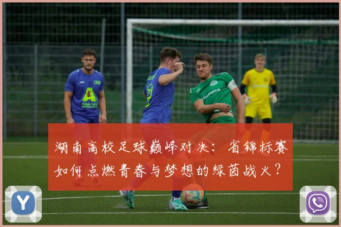 湖南高校足球巅峰对决：省锦标赛如何点燃青春与梦想的绿茵战火？