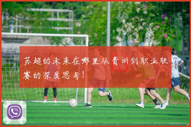 苏超的未来在哪里从青训到职业联赛的深度思考！