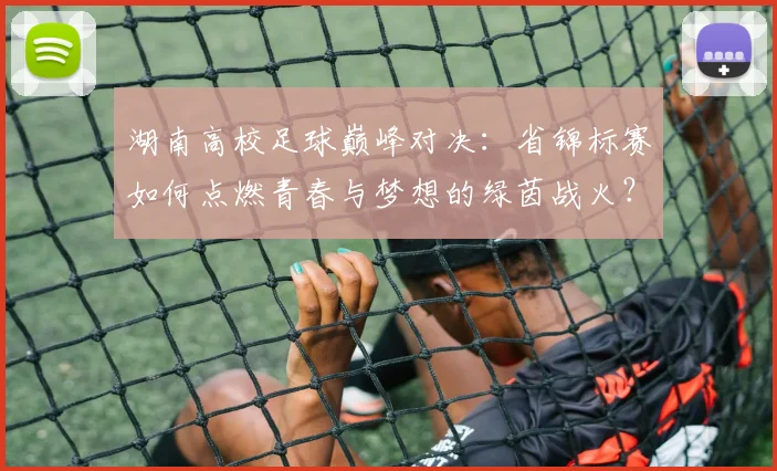 湖南高校足球巅峰对决：省锦标赛如何点燃青春与梦想的绿茵战火？